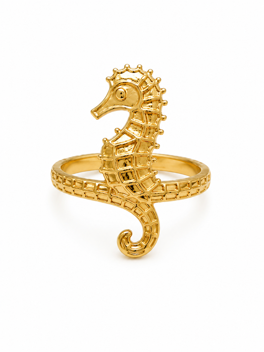 Anello Marina
