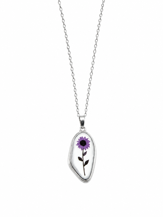 Girasole viola