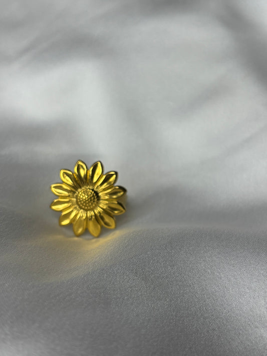 𝑎𝑛𝑒𝑙𝑙𝑜 𝑆𝑜𝑙𝑒 𝑑’𝑂𝑟𝑜