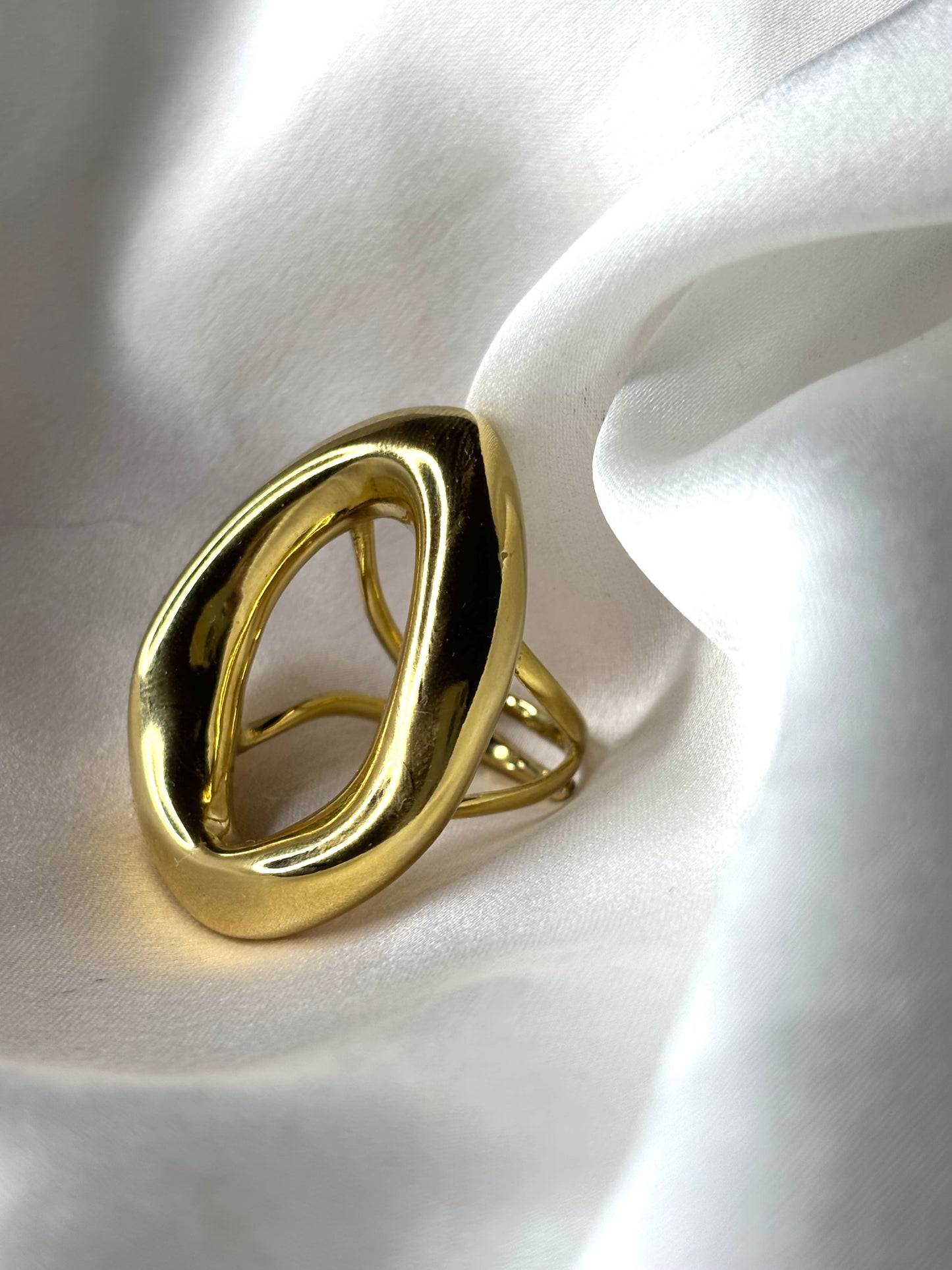 𝐴𝑛𝑒𝑙𝑙𝑜 “𝑉𝑜𝑖𝑑”