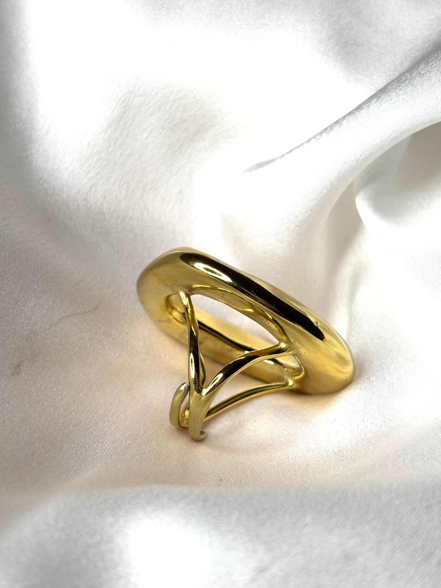 𝐴𝑛𝑒𝑙𝑙𝑜 “𝑉𝑜𝑖𝑑”