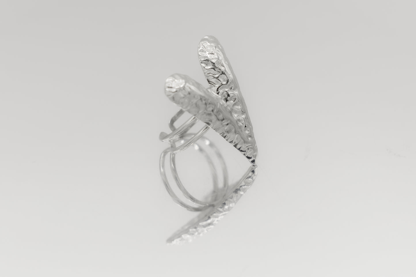 ᴀɴᴇʟʟᴏ Iɴᴠᴇʀsᴀ