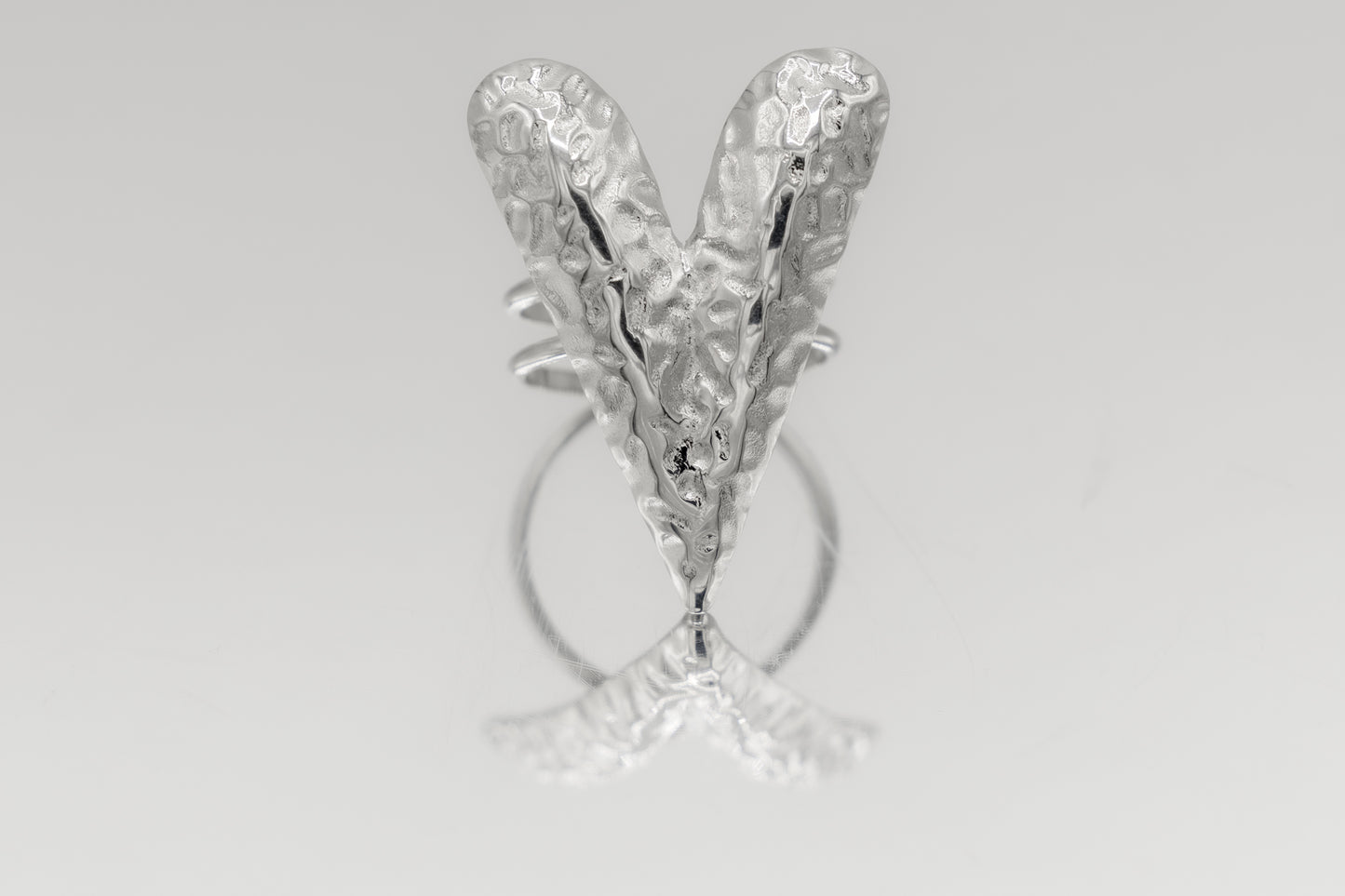 ᴀɴᴇʟʟᴏ Iɴᴠᴇʀsᴀ