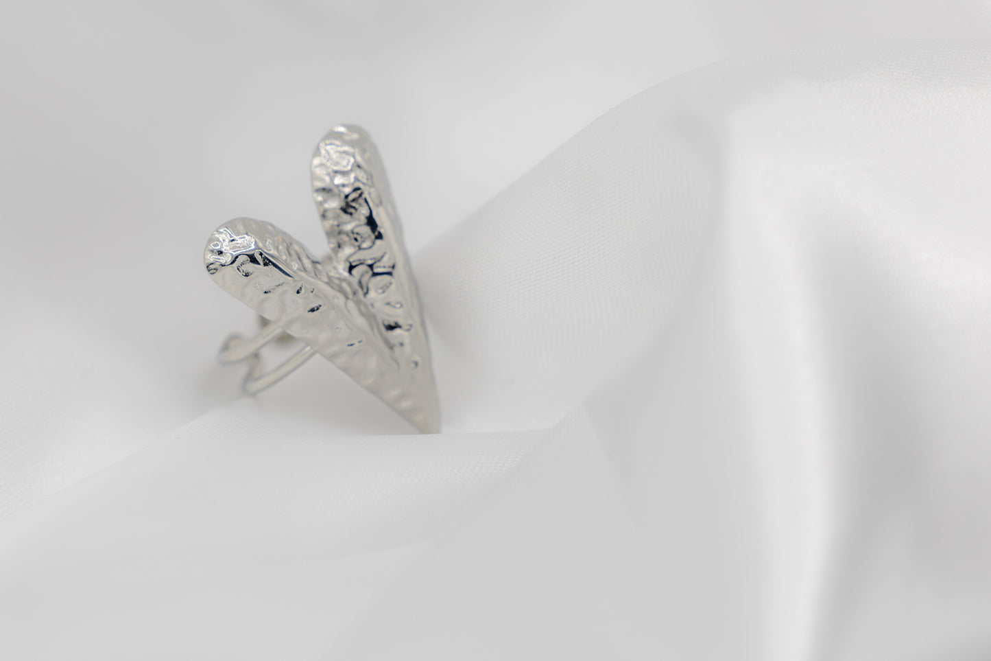 ᴀɴᴇʟʟᴏ Iɴᴠᴇʀsᴀ